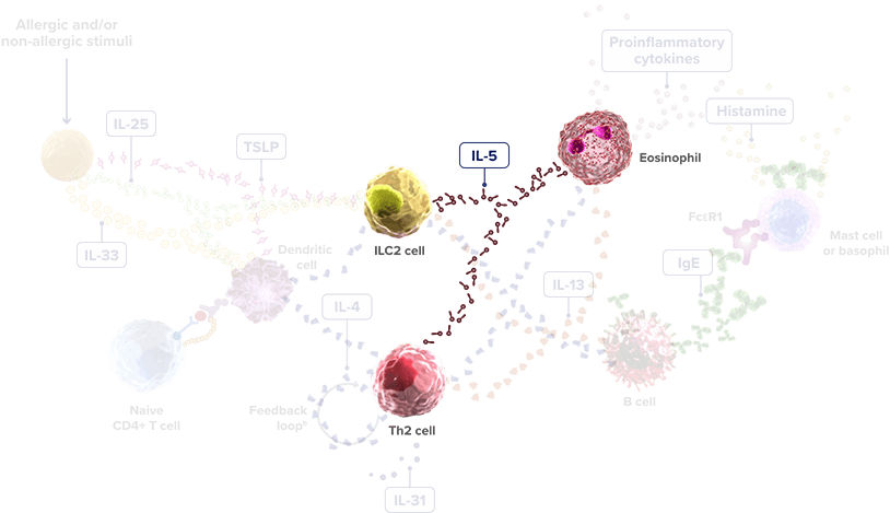 il-5