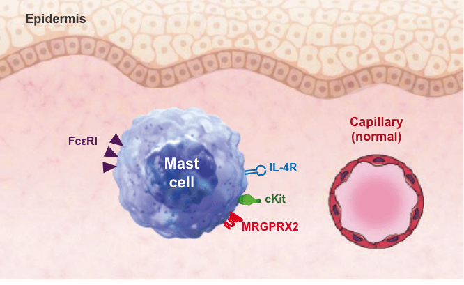 cell activation