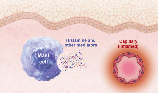 cell degranulation